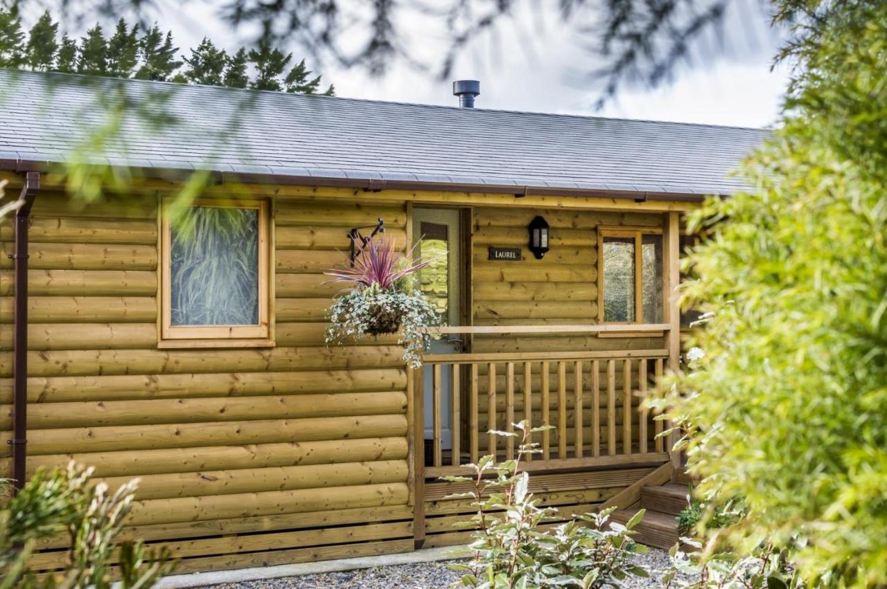 Laurel Lodge - 2 Bedroom Log Cabin - St Florence Saint Florence Exterior foto