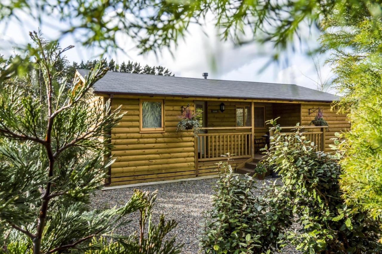 Laurel Lodge - 2 Bedroom Log Cabin - St Florence Saint Florence Exterior foto